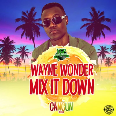 Wayne Wonder Mix It Down