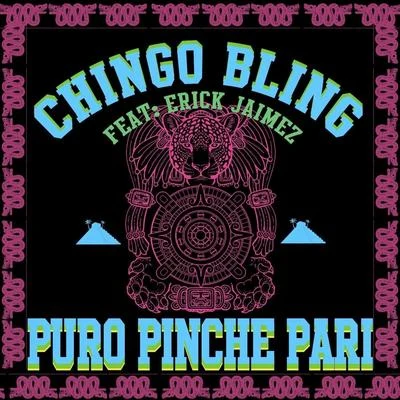 Puro Pinche Pari 專輯 Chingo Bling