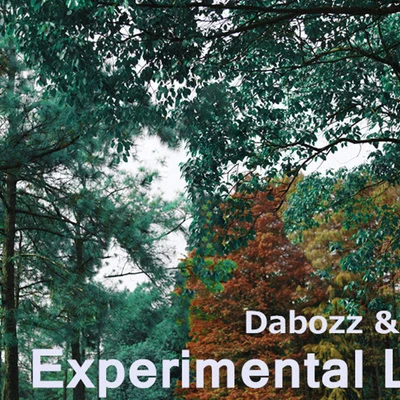 Experimental Luv 專輯 大包子Dabozz