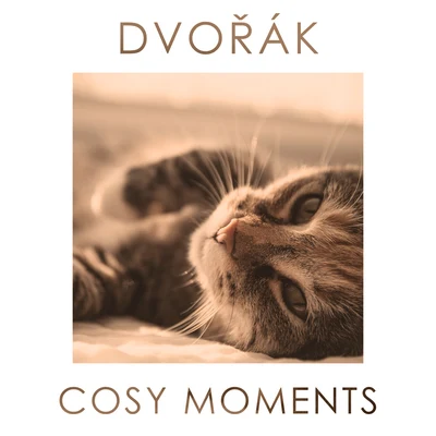 Dvorak Cosy Moments 專輯 Beethoven Academy Orchestra/Antonín Dvořák/Antonín Dvoák/Beethoven Akademie Orchester/Pawel Przytocki