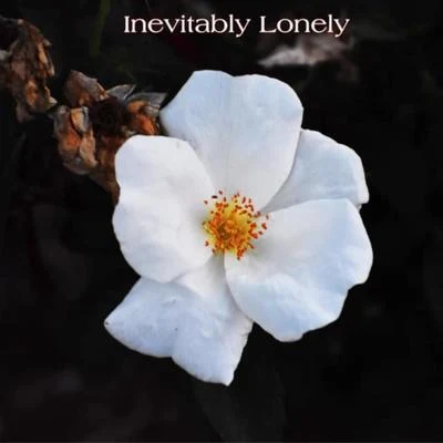 Inevitably Lonely 專輯 Lemay/San Quinn/Young Jayda/Big Famous/K-Geeta