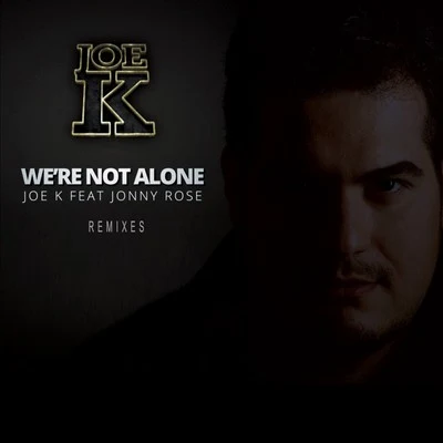 Were Not Alone (Remixes) 专辑 Joe K