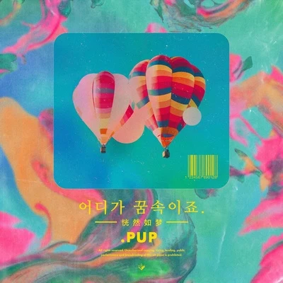 어디가 꿈속이죠 专辑 PUP