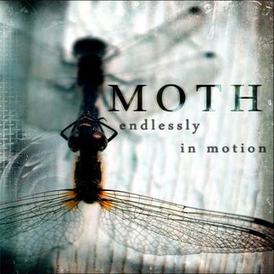 MothEngeline Endlessly In Motion