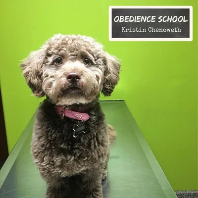 Obedience School 專輯 James Dooley/Tim Davies/Hollywood Studio Symphony/Kristin Chenoweth