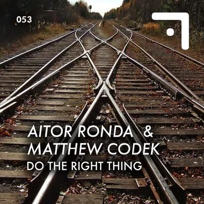 Do the Right Thing 專輯 Nader Razdar/Matthew Codek