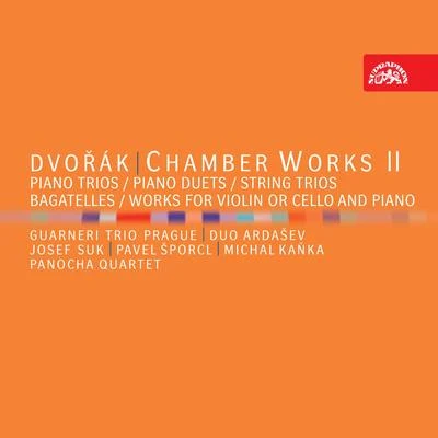 Dvořák: Chamber Works II 專輯 Panocha Quartet