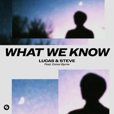 What We Know (feat. Conor Byrne) 专辑 Lucas & Steve