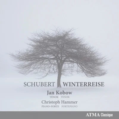 SCHUBERT, F.: Winterreise (Kobow, Hammer) 专辑 Wolfgang Helbich/Henning Kaiser/Ulrich Maier/Bettina Pahn/Beate Rollecke