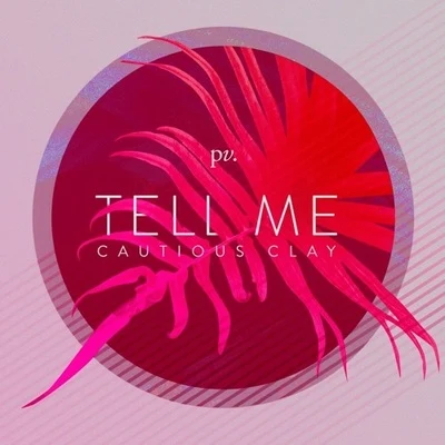 Tell Me 專輯 Cautious Clay/Sébastien Tellier/Morgan Phalen/Kavinsky