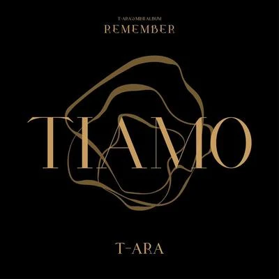 REMEMBER 專輯 See Ya/T-ara/DAViCHi