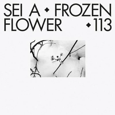 Frozen Flower 專輯 Milton Jackson/Sei A