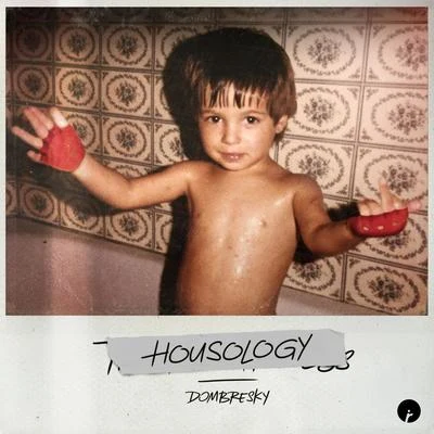 Donnie SloanDombreskyRicky Ducati Housology