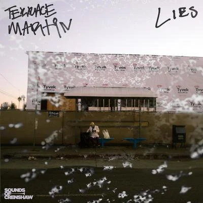 Terrace Martin Lies