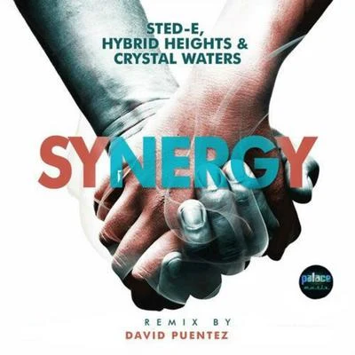 Synergy (David Puentez RMX) 专辑 Sted-E/NXNY/Hybrid Heights