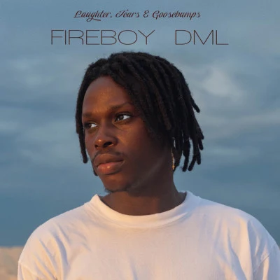 Laughter, Tears & Goosebumps 專輯 Fireboy DML