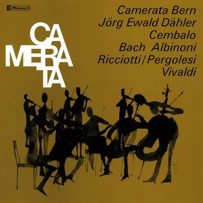 Rare Baroque Concertos 专辑 Camerata Bern