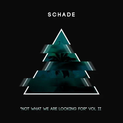 Not What We Are Looking For [Volume 2] 專輯 Manny S./Schade