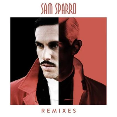 Sam SparroBasement Jaxx Remixes