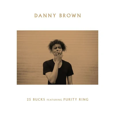 25 Bucks 專輯 Danny Brown