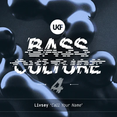 Livsey Call Your Name (Bass Culture 4)