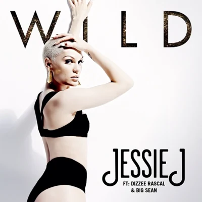 Wild 專輯 Jessie J/Don Diablo