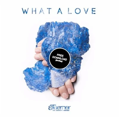 SteernerParis BlohmFlight of Fire What A Love (Steerner Bootleg)