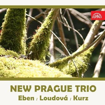 The New Prague Trio (Eben, Loudová, Kurz) 专辑 New Prague Trio