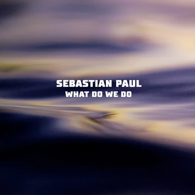 What Do We Do 专辑 Sebastian Paul/Phoebe Ryan