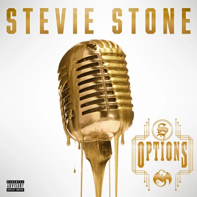 Options 专辑 Stevie Stone