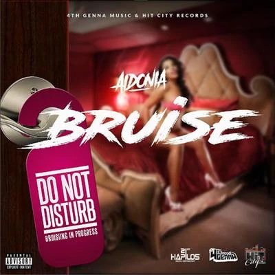 Bruise 專輯 Aidonia