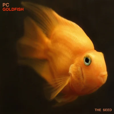 Goldfish 專輯 PC