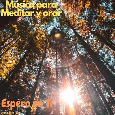 Música para Meditar y Orar: Espero en Tí 专辑 Omar Diaz