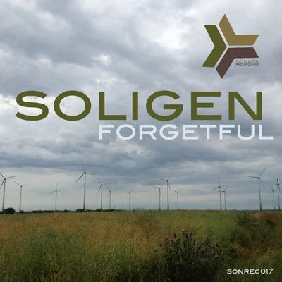 ForgetfulLong Way 專輯 Soligen