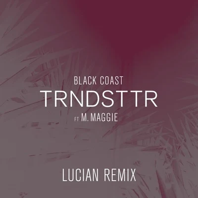 TRNDSTTR (Lucian Remix) 專輯 Lucian/IamSam/Stella Key