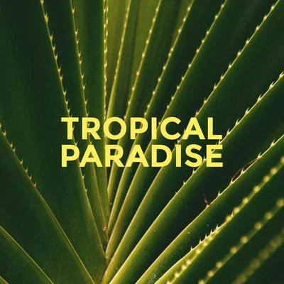 Tropical Paradise – Summer Music 2019, Fresh Relaxing Chill, Lounge Music, Peaceful Chillout Melodies, Deep Vibes, Beach Music 專輯 Top 40