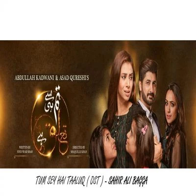 Tum Se Hi Taluq Hai - Ost 專輯 Zaw Ali/Sahir Ali Bagga/Aima Baig/Humera Channa/Arieb Azhar