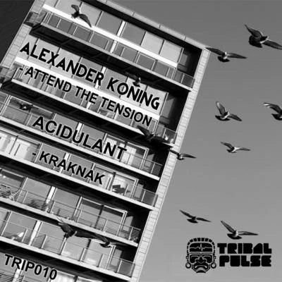 TRIP010 專輯 Alexander Koning