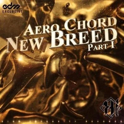 Warfare 专辑 Aero Chord