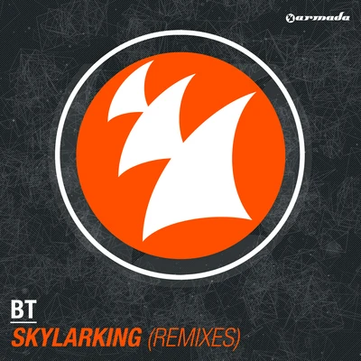 Skylarking (Remixes) 專輯 BT/Howard Jones