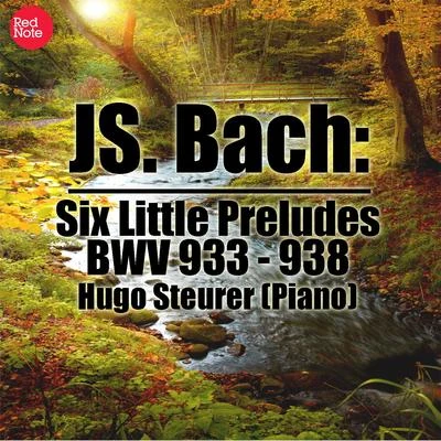 Bach: Six Little Preludes, BWV 933 - 938 專輯 Hugo Steurer