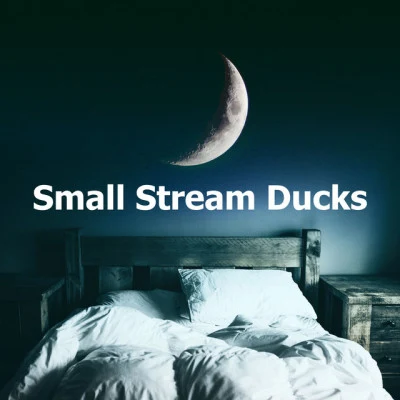 Small Stream Ducks 專輯 Deep Sleep Brown Noise