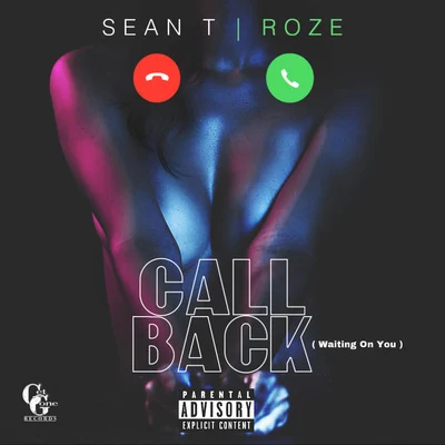 Sean T. Call Back (Waiting On You) [feat. Roze]