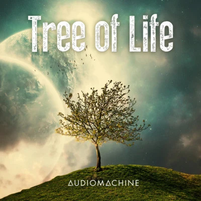 Tree of Life 专辑 Audiomachine