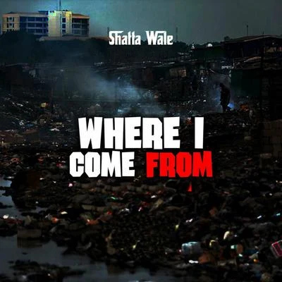 Where I Come From 专辑 Shatta Wale