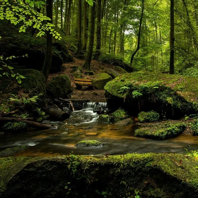 Musica relajante con sonidos de la naturalezaMassagemAcademia de Música con Sonidos de la Naturaleza Relajación Ambiental