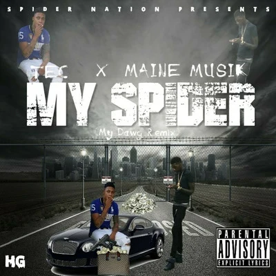 My Spider 专辑 Maine Musik