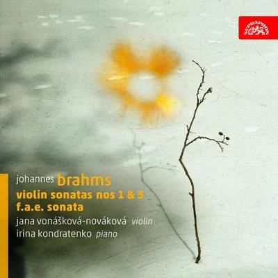 Brahms: Violin Sonatas 專輯 Jitka Cechova/Jan Palenicek/Přemysl Vojta/Jana Vonášková-Nováková/Ludmila Peterkova