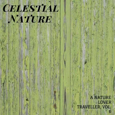 Celestial Nature - A Nature Lover Traveller, Vol. 6 專輯 White Noise Meditation/Relax Ambience