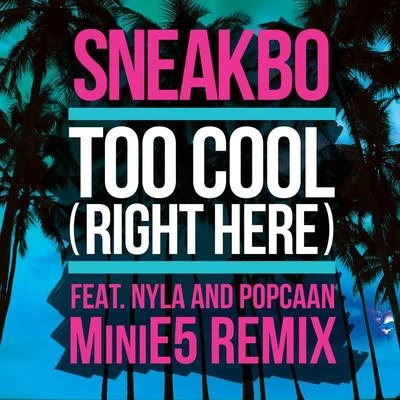 Too Cool (Right Here) (MiniE5 Remix) 专辑 Sneakbo